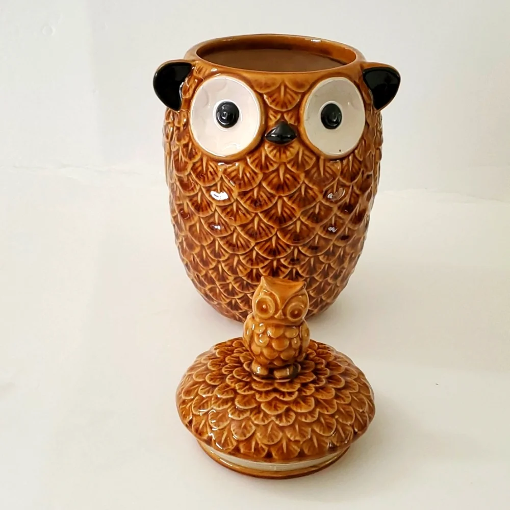 Pier 1 Imports Owl Cookie Jar